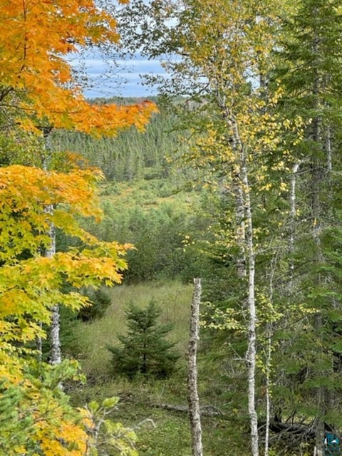 Tiny photo for XXXX Sunny Ln, Duluth, MN 55811 (MLS # 6128265)