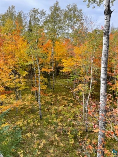 Tiny photo for XXXX Sunny Ln, Duluth, MN 55811 (MLS # 6128265)