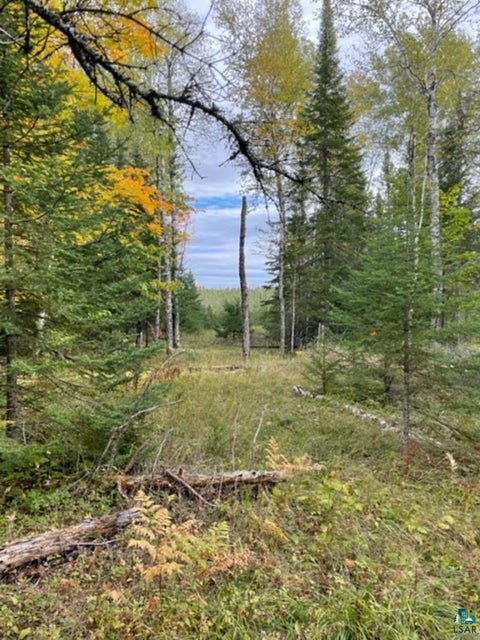 Tiny photo for XXXX Sunny Ln, Duluth, MN 55811 (MLS # 6128265)