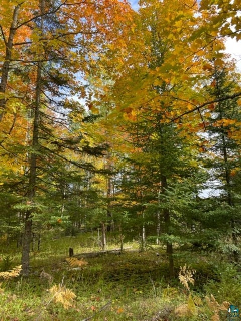 Tiny photo for XXXX Sunny Ln, Duluth, MN 55811 (MLS # 6128265)