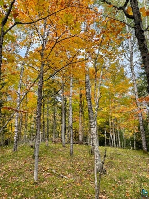 Tiny photo for XXXX Sunny Ln, Duluth, MN 55811 (MLS # 6128265)