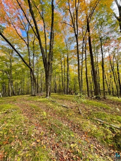 Photo of XXXX Sunny Ln, Duluth, MN 55811 (MLS # 6128265)