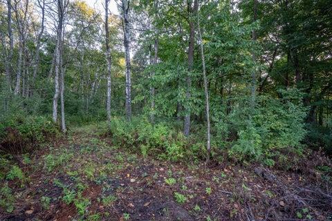 Tiny photo for 1 Yellow Birch Trail, Duluth, MN 55810 (MLS # 6127915)