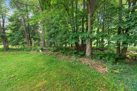 Tiny photo for 220 E Locust St, Duluth, MN 55811 (MLS # 6126869)