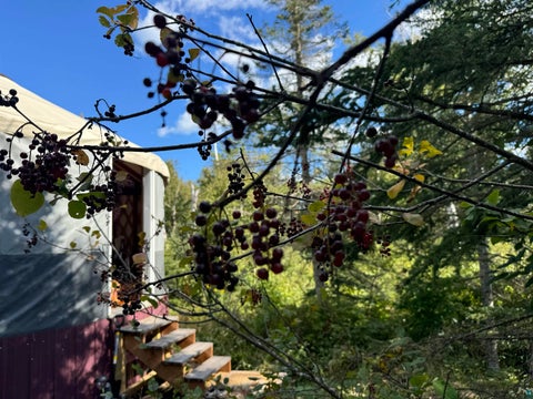 Tiny photo for 4 Steam Engine Rd, Lutsen, MN 55612 (MLS # 6127825)
