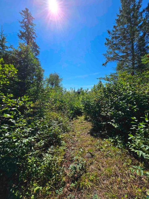Tiny photo for 4 Steam Engine Rd, Lutsen, MN 55612 (MLS # 6127825)