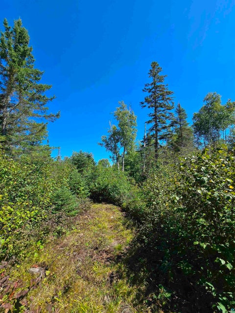Tiny photo for 4 Steam Engine Rd, Lutsen, MN 55612 (MLS # 6127825)