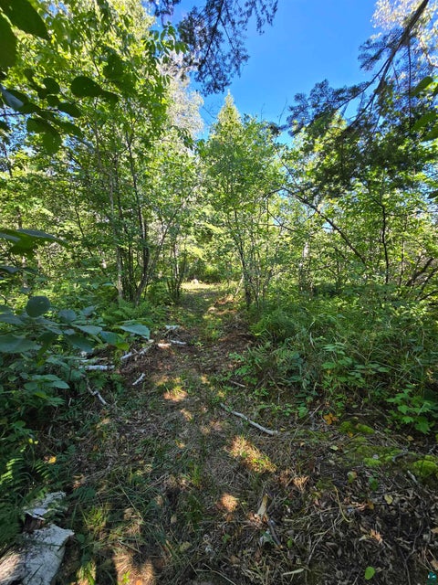 Tiny photo for 4 Steam Engine Rd, Lutsen, MN 55612 (MLS # 6127825)