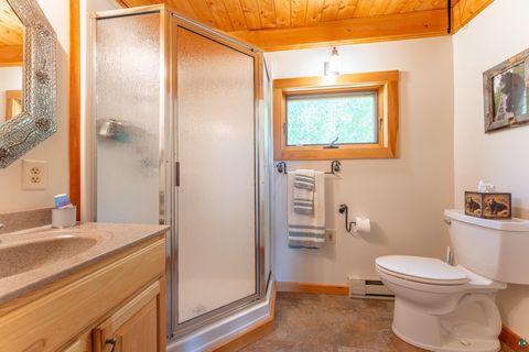 Tiny photo for 1675 Bradach Rd, Ely, MN 55731 (MLS # 6125831)