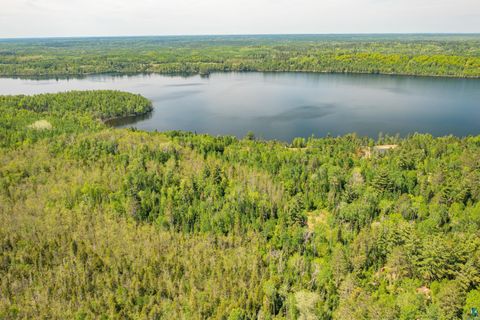 Tiny photo for 1675 Bradach Rd, Ely, MN 55731 (MLS # 6125831)