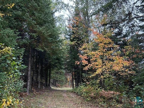 Tiny photo for 9289 Heino Rd, Angora, MN 55703 (MLS # 6128197)