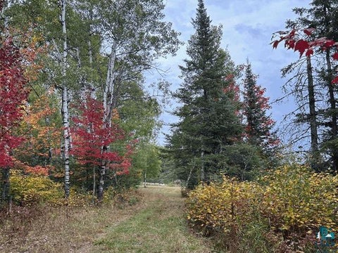 Tiny photo for 9289 Heino Rd, Angora, MN 55703 (MLS # 6128197)