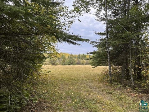 Tiny photo for 9289 Heino Rd, Angora, MN 55703 (MLS # 6128197)