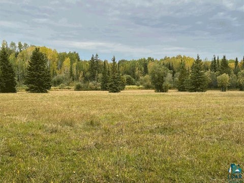 Tiny photo for 9289 Heino Rd, Angora, MN 55703 (MLS # 6128197)