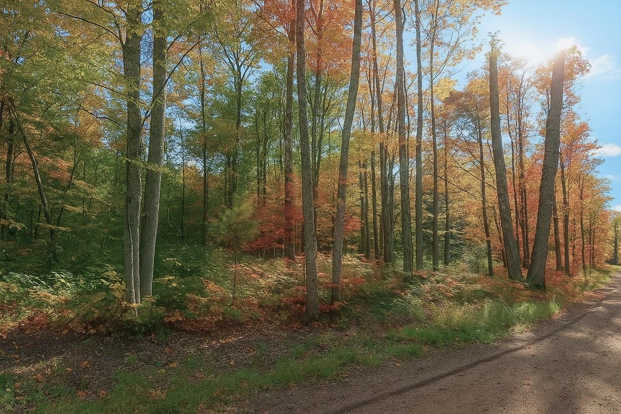 TBD Lot #4 Tressel Trail