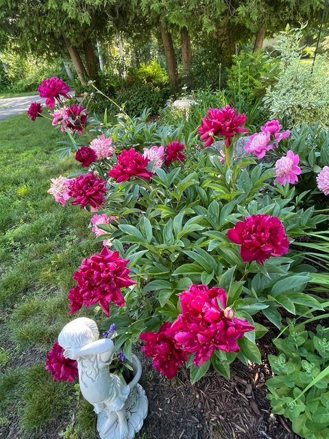 Tiny photo for 1910 Ponderosa Ave, Duluth, MN 55811 (MLS # 6123716)