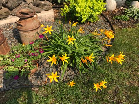 Tiny photo for 1910 Ponderosa Ave, Duluth, MN 55811 (MLS # 6123716)