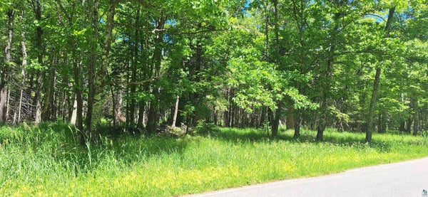 S SHORE RD, LA POINTE, WI 54850 - Image aaf8d04f402cd6f5edd5d7d044e4c289/3394009481