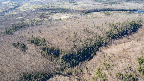 Tiny photo for TBD Mountain Home Tr, Little Marais, MN 55614 (MLS # 6125983)