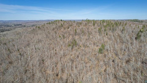 Tiny photo for TBD Mountain Home Tr, Little Marais, MN 55614 (MLS # 6125983)