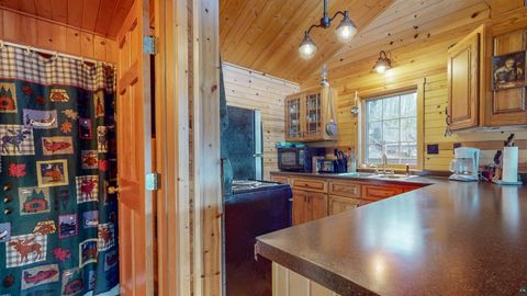 Tiny photo for 45 S Bearskin Rd, Grand Marais, MN 55604 (MLS # 6125495)