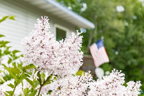 Tiny photo for 6222 Lavaque Rd, Duluth, MN 55803 (MLS # 6126312)