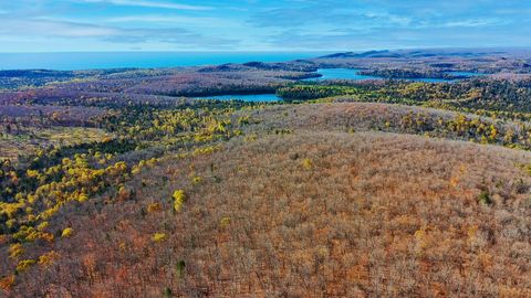 Tiny photo for xx W Deeryard Lake Rd, Lutsen, MN 55612 (MLS # 6122432)