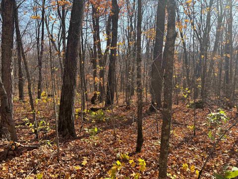 Tiny photo for xx W Deeryard Lake Rd, Lutsen, MN 55612 (MLS # 6122432)