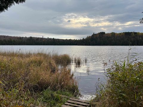 Tiny photo for xx W Deeryard Lake Rd, Lutsen, MN 55612 (MLS # 6122432)