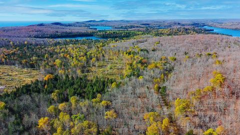 Tiny photo for xx W Deeryard Lake Rd, Lutsen, MN 55612 (MLS # 6122432)