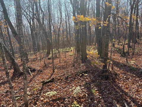 Tiny photo for xx W Deeryard Lake Rd, Lutsen, MN 55612 (MLS # 6122432)