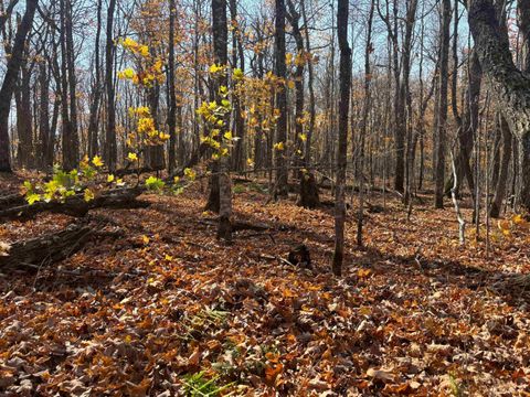 Tiny photo for xx W Deeryard Lake Rd, Lutsen, MN 55612 (MLS # 6122432)