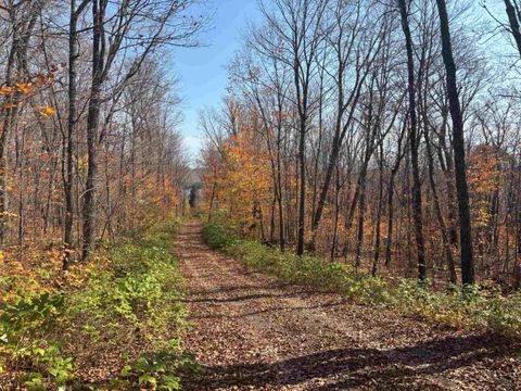 Tiny photo for xx W Deeryard Lake Rd, Lutsen, MN 55612 (MLS # 6122432)