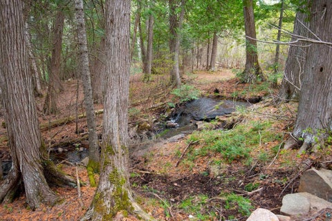 Tiny photo for 190 N Loon Lake Rd, Grand Marais, MN 55604 (MLS # 6126257)