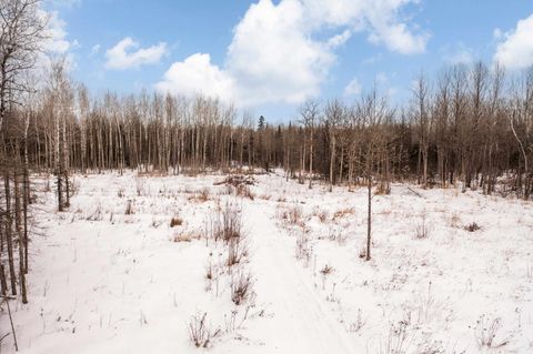 Tiny photo for 2597 Lauren Rd, Duluth, MN 55804 (MLS # 6123284)