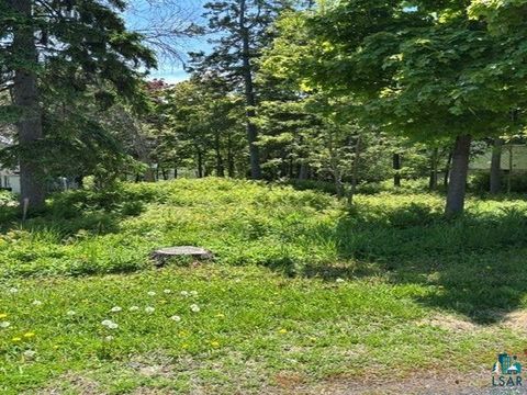 Tiny photo for 49 Peabody St, Duluth, MN 55804 (MLS # 6125951)