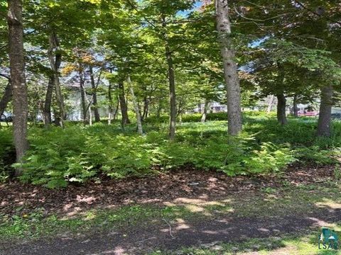 Tiny photo for 49 Peabody St, Duluth, MN 55804 (MLS # 6125951)