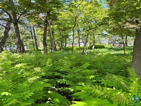 Tiny photo for 49 Peabody St, Duluth, MN 55804 (MLS # 6125951)