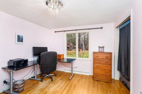 Tiny photo for 4011 Pitt St, Duluth, MN 55804 (MLS # 6124902)