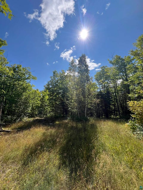 Tiny photo for 5076 Heffelfinger Rd, Finland, MN 55603 (MLS # 6127448)