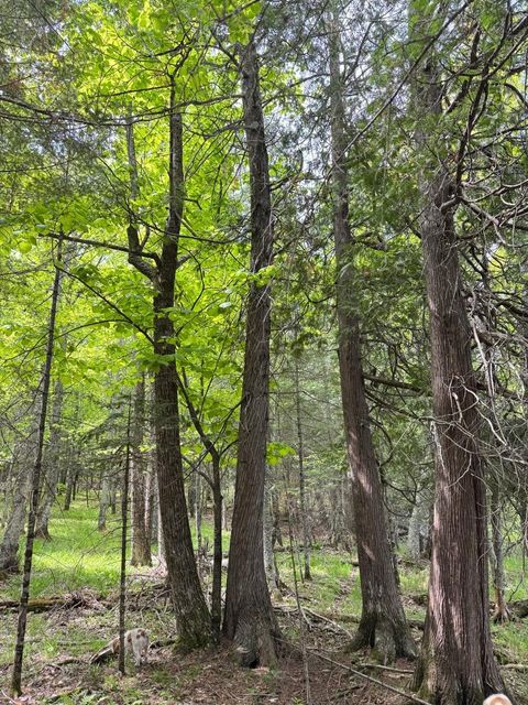 Tiny photo for TBD W Shipley Rd, Alborn, MN 55702 (MLS # 6122339)