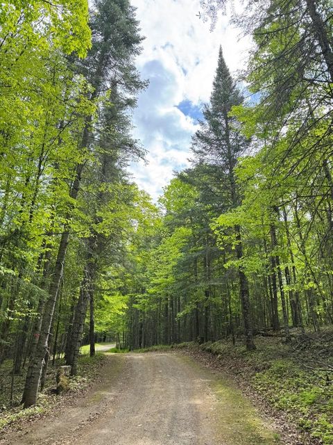 Tiny photo for TBD W Shipley Rd, Alborn, MN 55702 (MLS # 6122339)