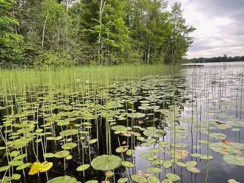 Tiny photo for TBD W Shipley Rd, Alborn, MN 55702 (MLS # 6122339)