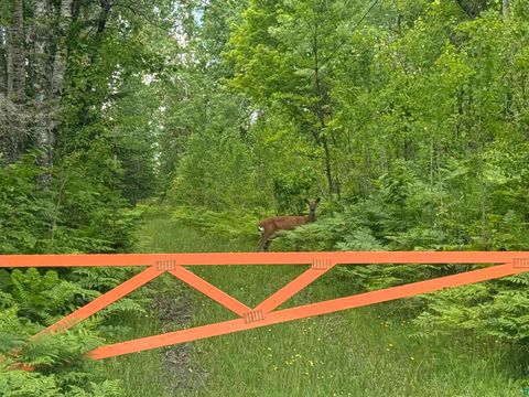Tiny photo for 2647 Billings Rd, Hibbing, MN 55746 (MLS # 6126204)