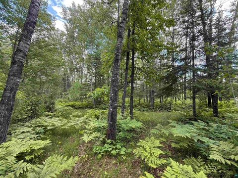 Tiny photo for 2647 Billings Rd, Hibbing, MN 55746 (MLS # 6126204)