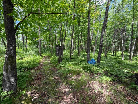 Tiny photo for 2647 Billings Rd, Hibbing, MN 55746 (MLS # 6126204)