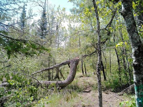 Tiny photo for 54 Caps Tr, Lutsen, MN 55612 (MLS # 6126241)