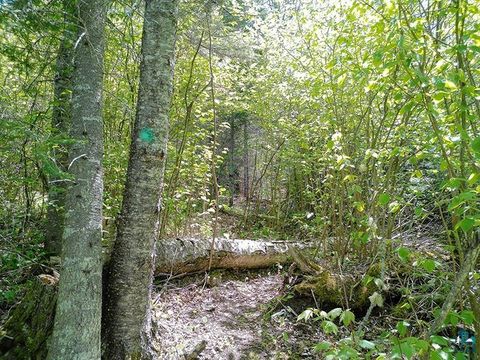 Tiny photo for 54 Caps Tr, Lutsen, MN 55612 (MLS # 6126241)