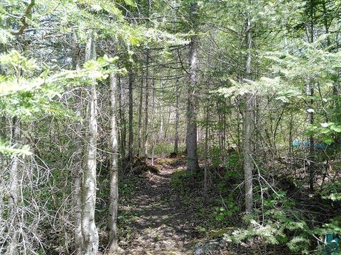 Tiny photo for 54 Caps Tr, Lutsen, MN 55612 (MLS # 6126241)