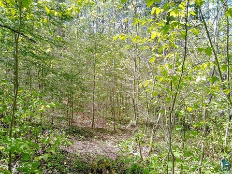 Tiny photo for 54 Caps Tr, Lutsen, MN 55612 (MLS # 6126241)